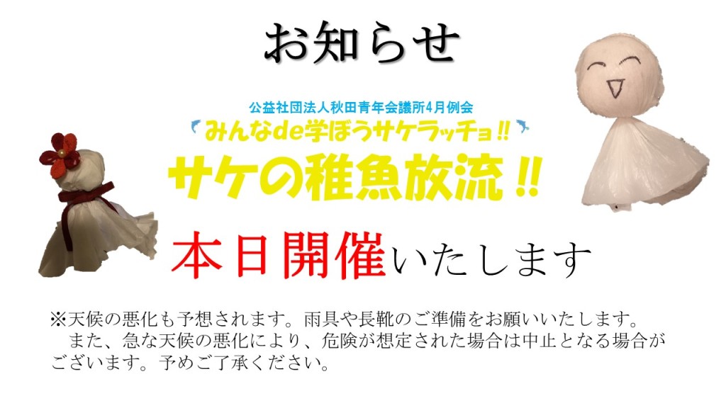 サケ稚魚開催